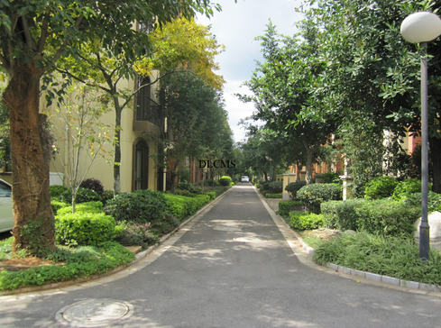 萬輝星城C期樣板園景觀施工實景-景觀施工